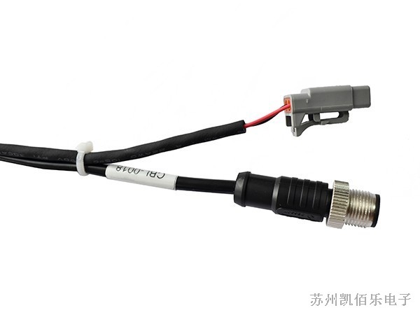M12母頭線(xiàn)束