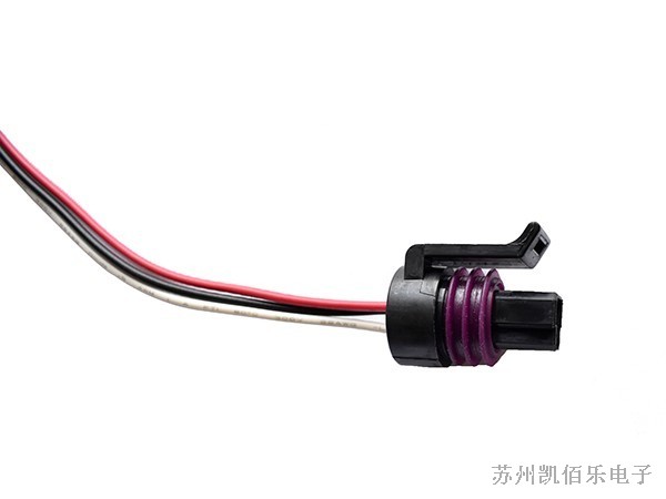 DELPHI連接器線(xiàn)束 DELPHI連接器線(xiàn)束